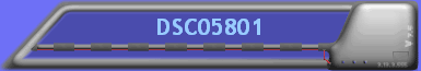DSC05801